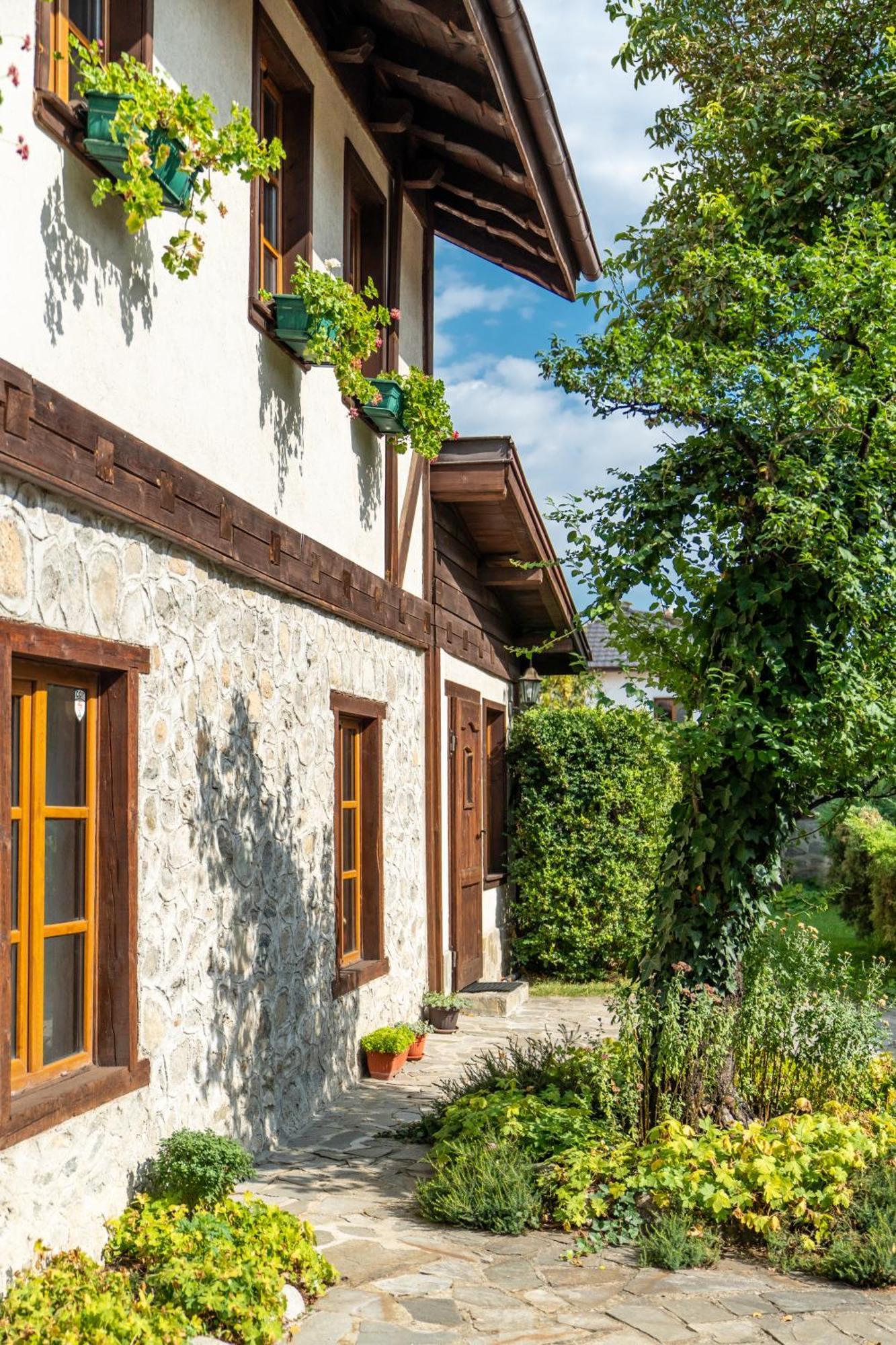 Chalet White Fang Bansko Dış mekan fotoğraf