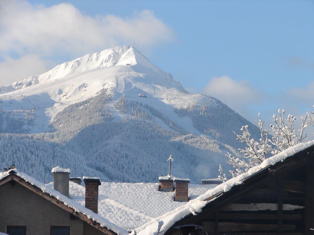 Chalet White Fang Bansko Dış mekan fotoğraf