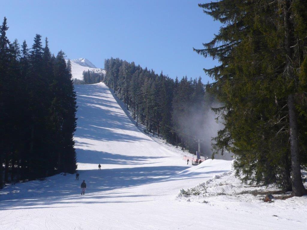 Chalet White Fang Bansko Dış mekan fotoğraf