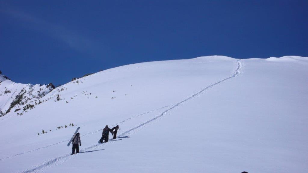 Chalet White Fang Bansko Dış mekan fotoğraf